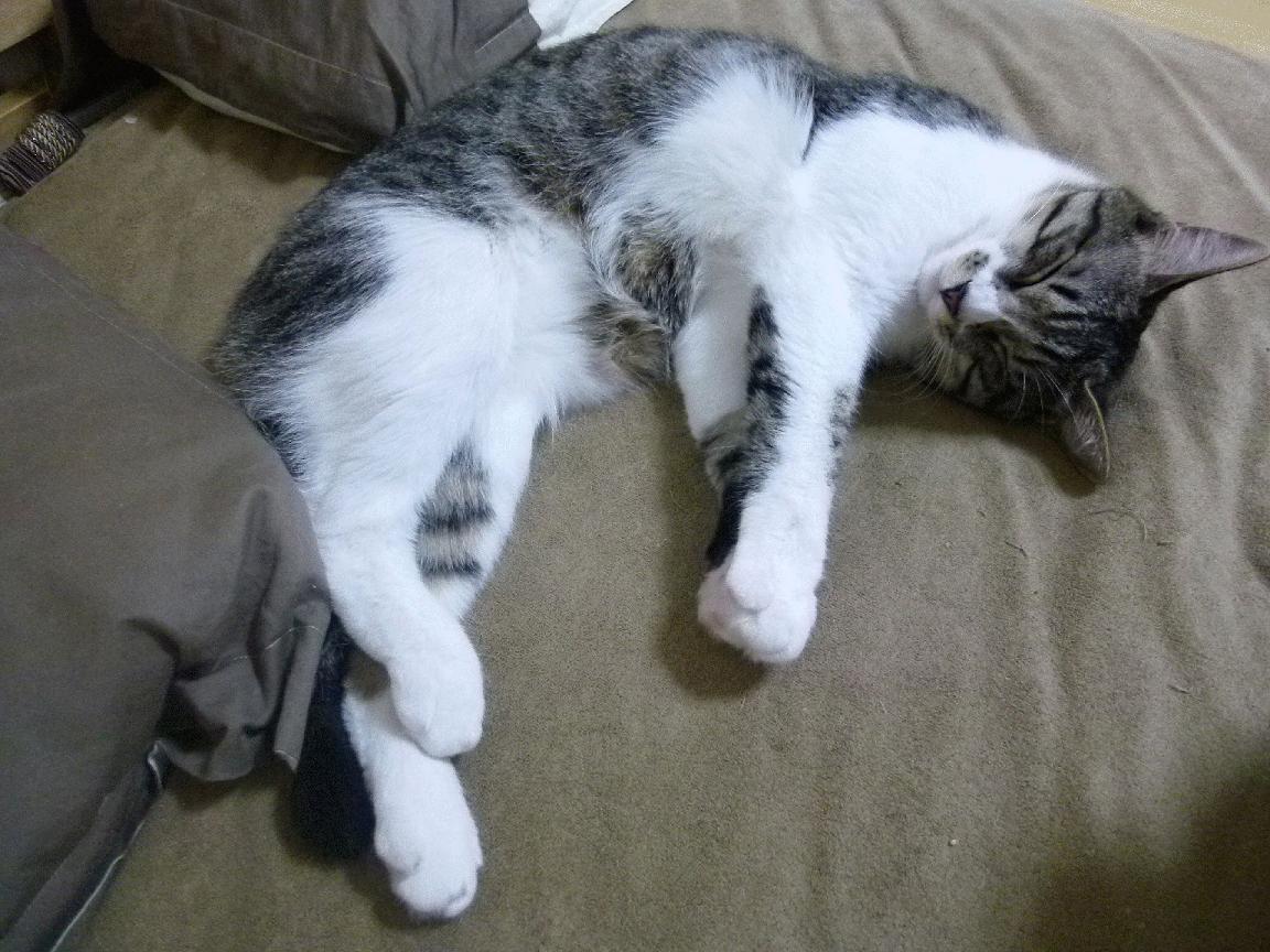 丁俊晖逆转战胜强敌斯诺克世锦赛，丁俊晖在斯诺克世锦赛最好成绩