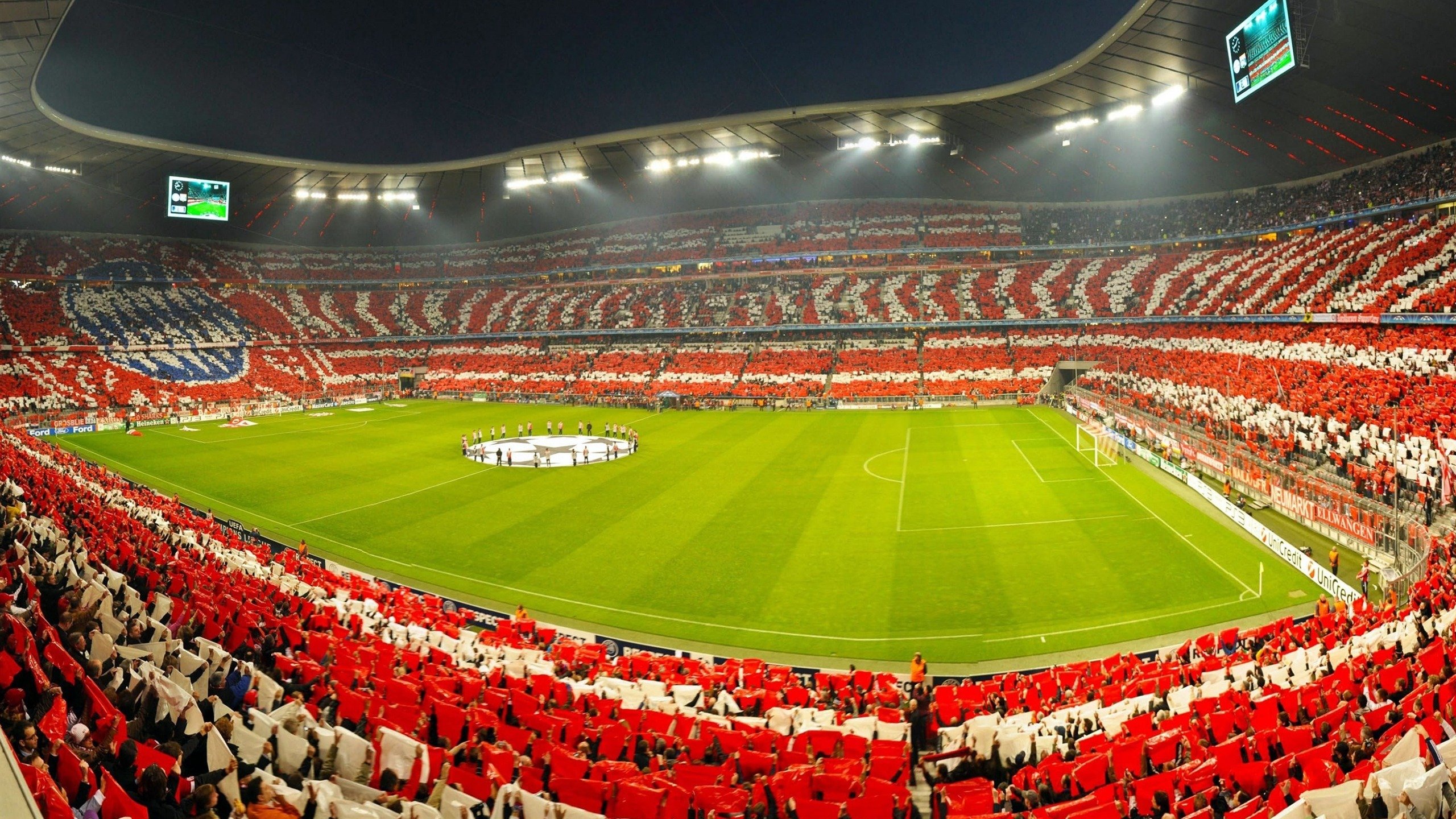 世界游泳锦标赛接力创纪录，世界游泳锦标赛百科